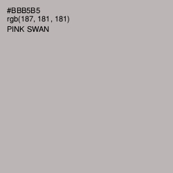 #BBB5B5 - Pink Swan Color Image